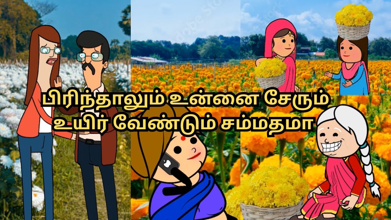 ‼️💥பிரிந்தாலும் உன்னை சேரும் உயிர் வேண்டும் சம்மதமா😂😂💥‼️