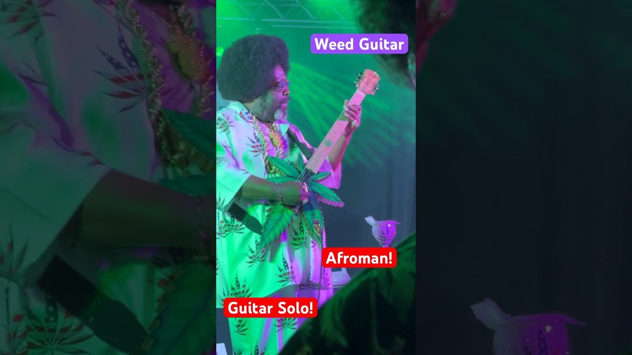 Afroman Guitar Solo! 2024 Concert: Cannabis Legends