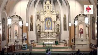 Santa Misa Dominical - 13 de febrero de 2022