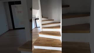IMG 5547