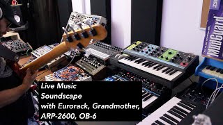 Live music soundscape for emotional relief, Eurorack, Grandmother, ARP-2600, OB-6