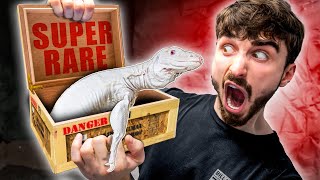 This Is The Rarest Animal We Ever Bought!!