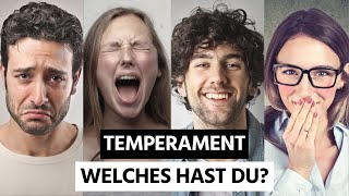 Die 4 Temperamentstypen - Welches Temperament Hast Du?