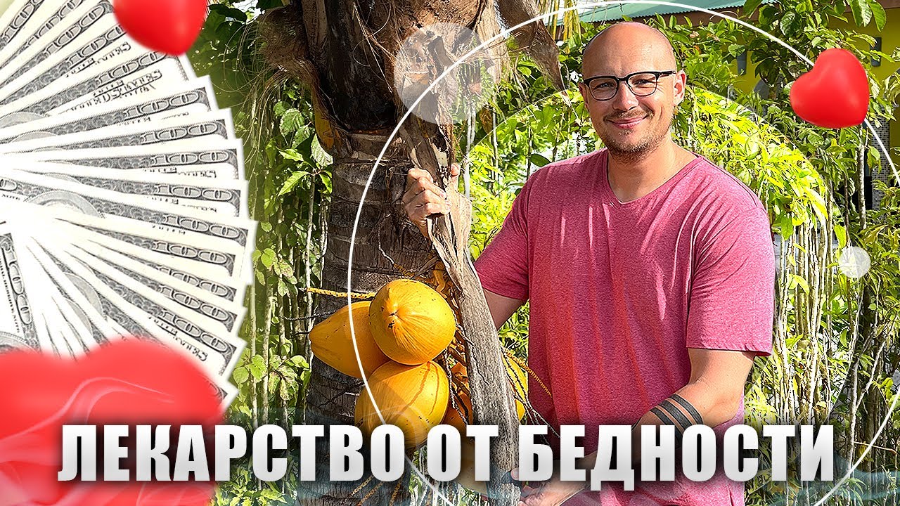 Лекарство от бедности - вторичная выгода в психологии - Владимир ...