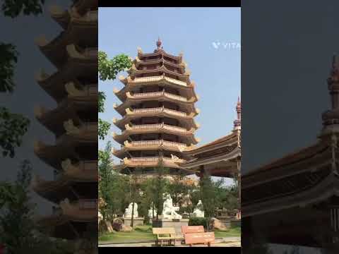 Video: De 7 beste templene og pagodene i Ho Chi Minh-byen, Vietnam