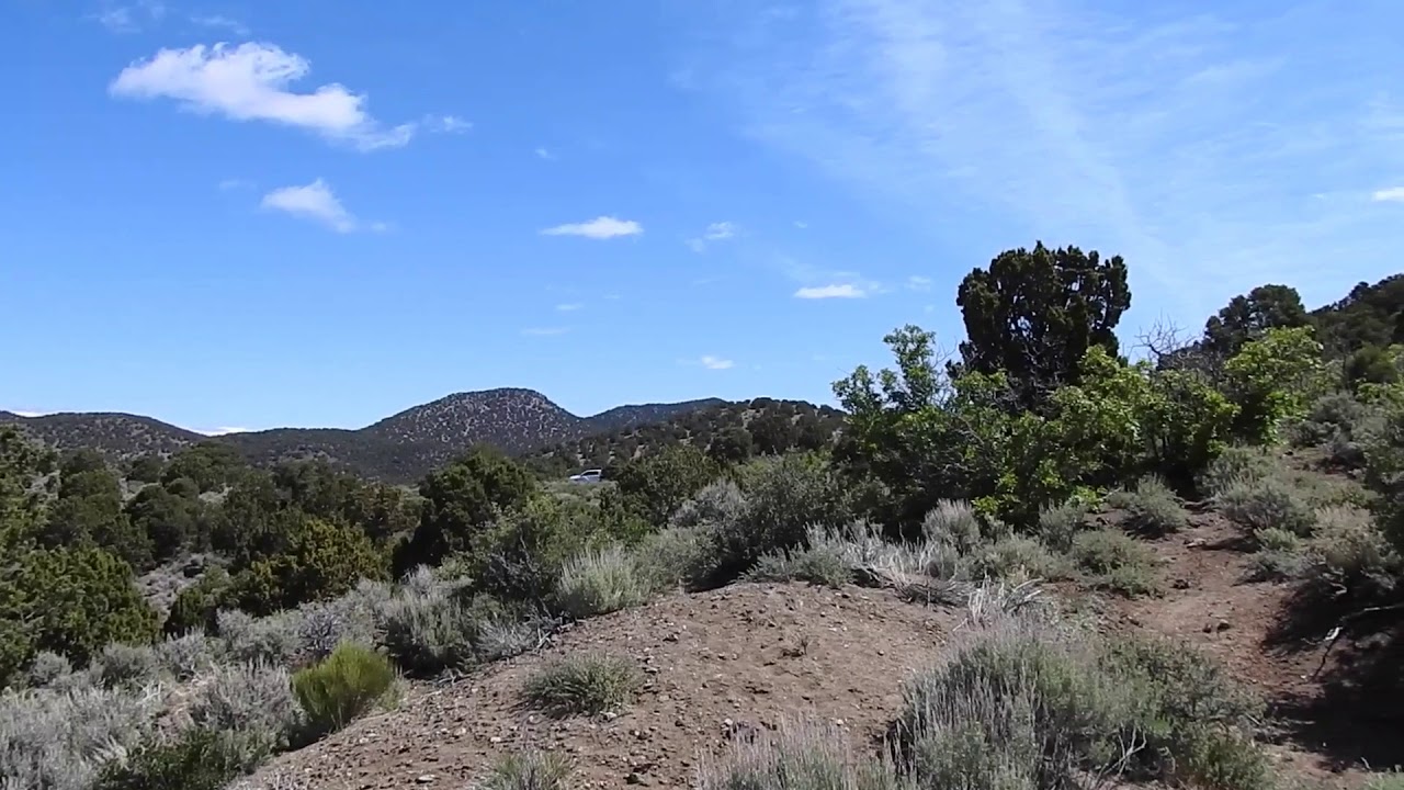 Agate Hunting at Holt Canyon, Utah YouTube