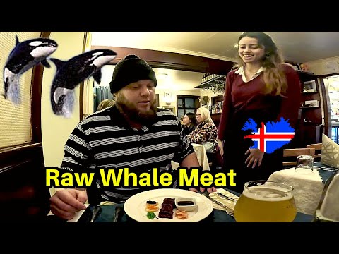 ???????? EATING A WHALE IN ICELAND | SEARCHING FOR EXCUISITE ICELANDIC FOOD IN REYKJAVIK