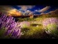 LUMION 6.0.1 PRO: SLIDESHOW of illustrations of TUSCANY landscape