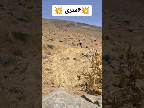 تور پرتابی موجود است پرنده   مازندران سهرة    