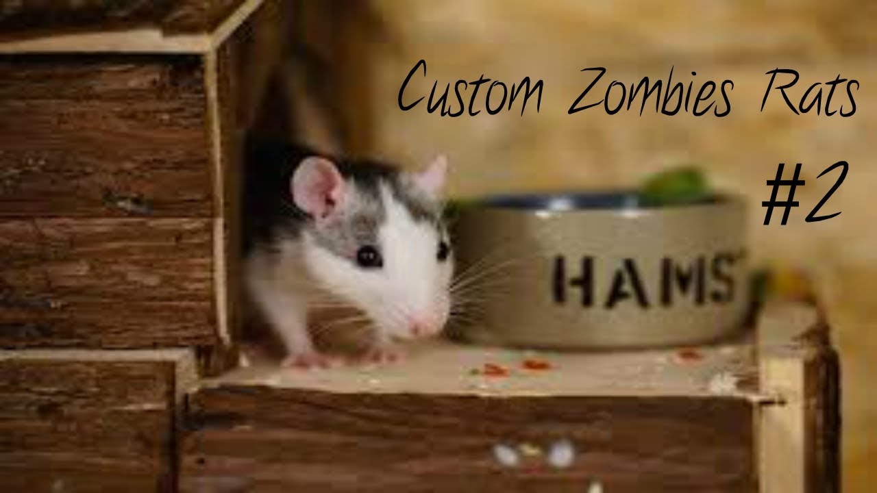 Cod Rats Cod WaW Custom Zombies Rats Part 2 Final - YouTube