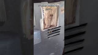 Roaches Love Appliances