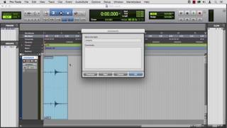 Celebrity Learning ProTools 12 02 03 Tracks And Track Information Profile