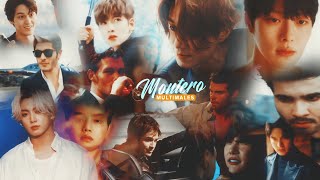 Celebrity Montero -Multimales Profile