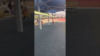 Steven and Peter Zipline