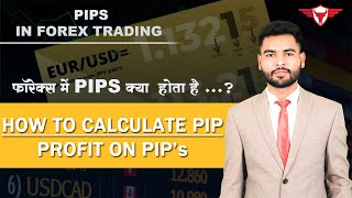 What is PIPs in Forex Trading Explain in Hindi | How to calculate PIP in forex | Profit on PIP