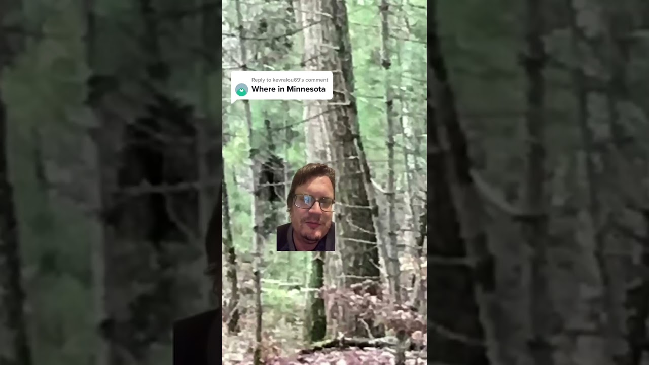 Bigfoot Encounter: Minnesota Screaming Bigfoot Chase #shorts