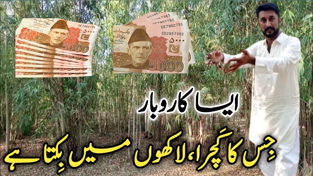 New Business ideas 2023|Profitable Business with Low invevstment 