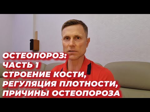 Остеопороз.Часть 1:Строение кости, регуляция плотности, причины остеопороза