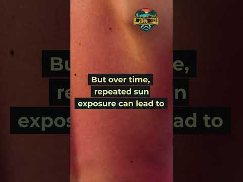 Did You Know?