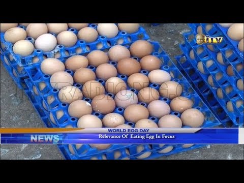 benin city to lagos flight World Egg Day: Relevance of eating egg in focus