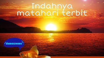 Sunrise to sunset (terbitnya matahari )#sunrise #sunset