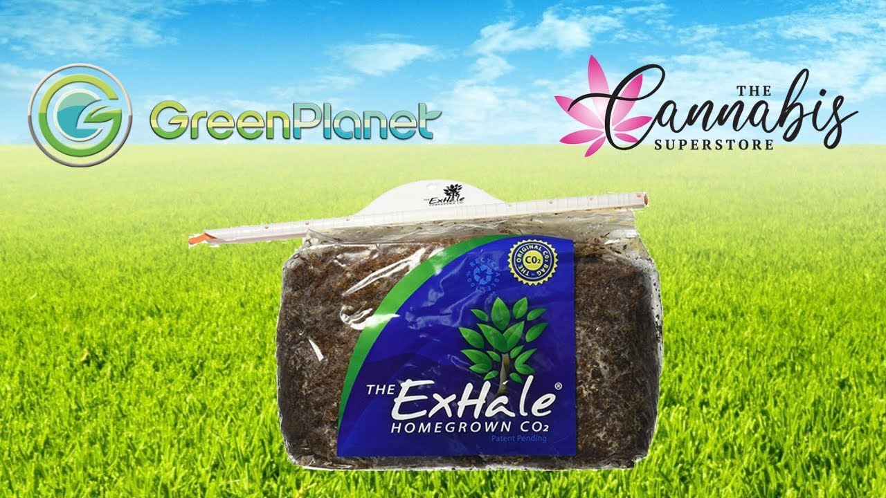 Breath Easy With ExHale CO2 Bags YouTube