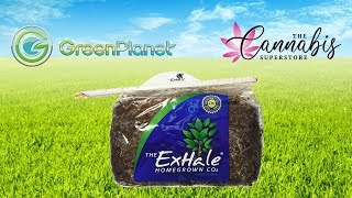 Breath Easy With ExHale CO2 Bags