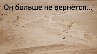 картинка: Он больше не вернётся. И это к лучшему.  He’s not coming back. And that’s a blessing.#отношения. 