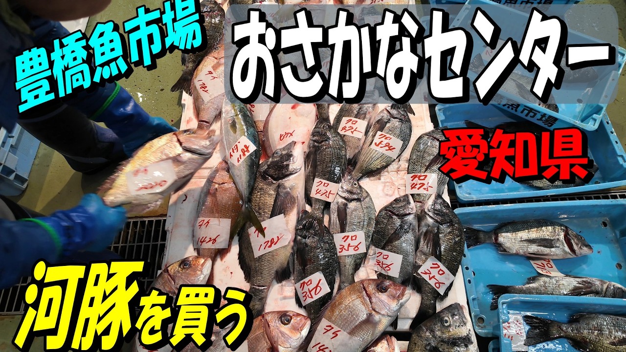 【豊橋魚市場　お魚センター】魚を買いに行くなら土曜日６時をお勧めします。