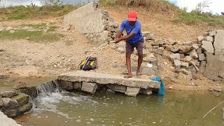 Best Baam fishing Technique|Fishing For Baam&Tilapia To Catch With Singal hook|Unique Fishing video