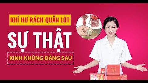 Kiến bu quần lót là hiện tượng gì năm 2024