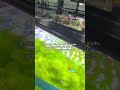 Set it and forget it with the built in timer