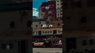 حالات واتس اب | الامل في بوقهم |🤍🤍