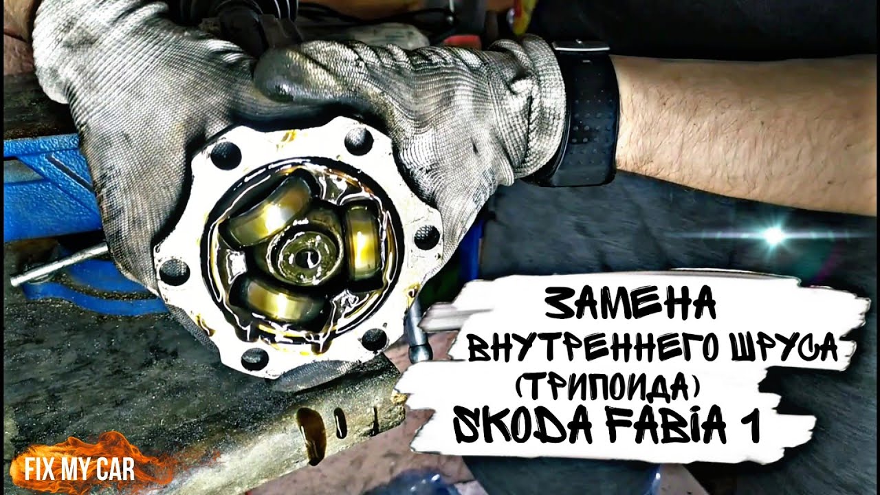 Замена трипоида ларгус Замена трипоида ларгус