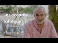 Les accords toltques  arnaud riou