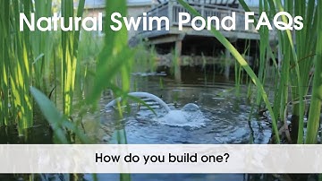 Natural Swim Pond FAQs- How do you build one?
