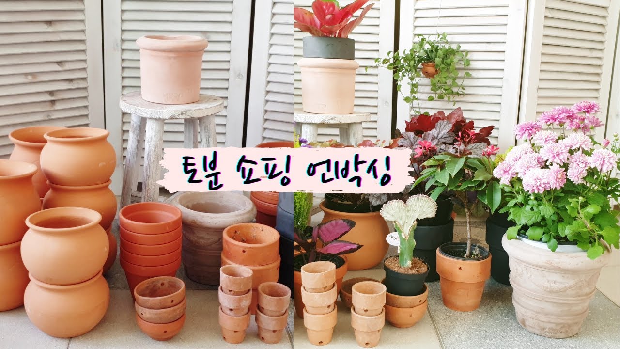 토분 쇼핑, 언박싱 /  토분 가격 알아보기 / 토분에 어울리는 식물/ 토분 싸게 사는 곳