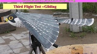 Falcon52iV-2 with Stabilizer : Third Flight Test --Gliding