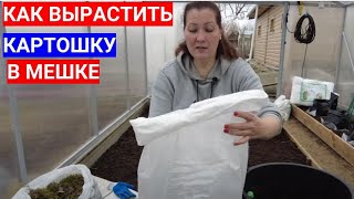 Хотите супер раннюю картошку - сажайте в мешки. Новый способ посадки картофеля для раннего урожая.