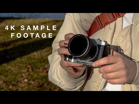 Fujifilm X-M5 & 15-45mm Kit Lens Field Test and First Impressions