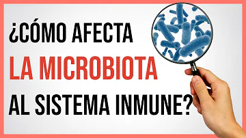 ¿Ayudan los probióticos en las enfermedades autoinmunes?