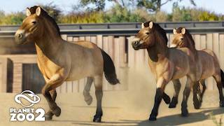 Building a PRZEWALSKI’S HORSE Habitat in Planet Zoo 2! 🐴 | Oak Valley City Zoo