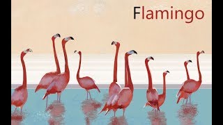 【YUKIri】Flamingo【火烈鳥/米津玄師】