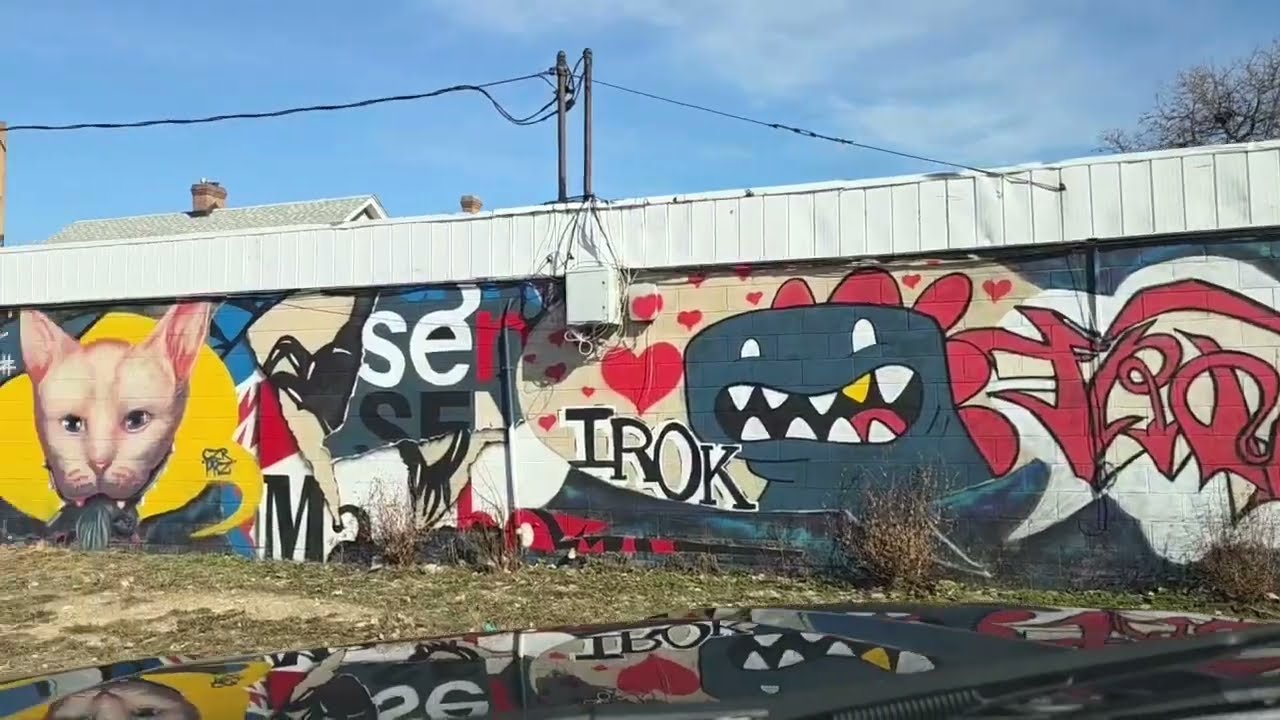 Библиотека Джона Мьюира, дом Мейсона-Жирардо, убийство младенца Рэймонда в 1990 году и многое дру...