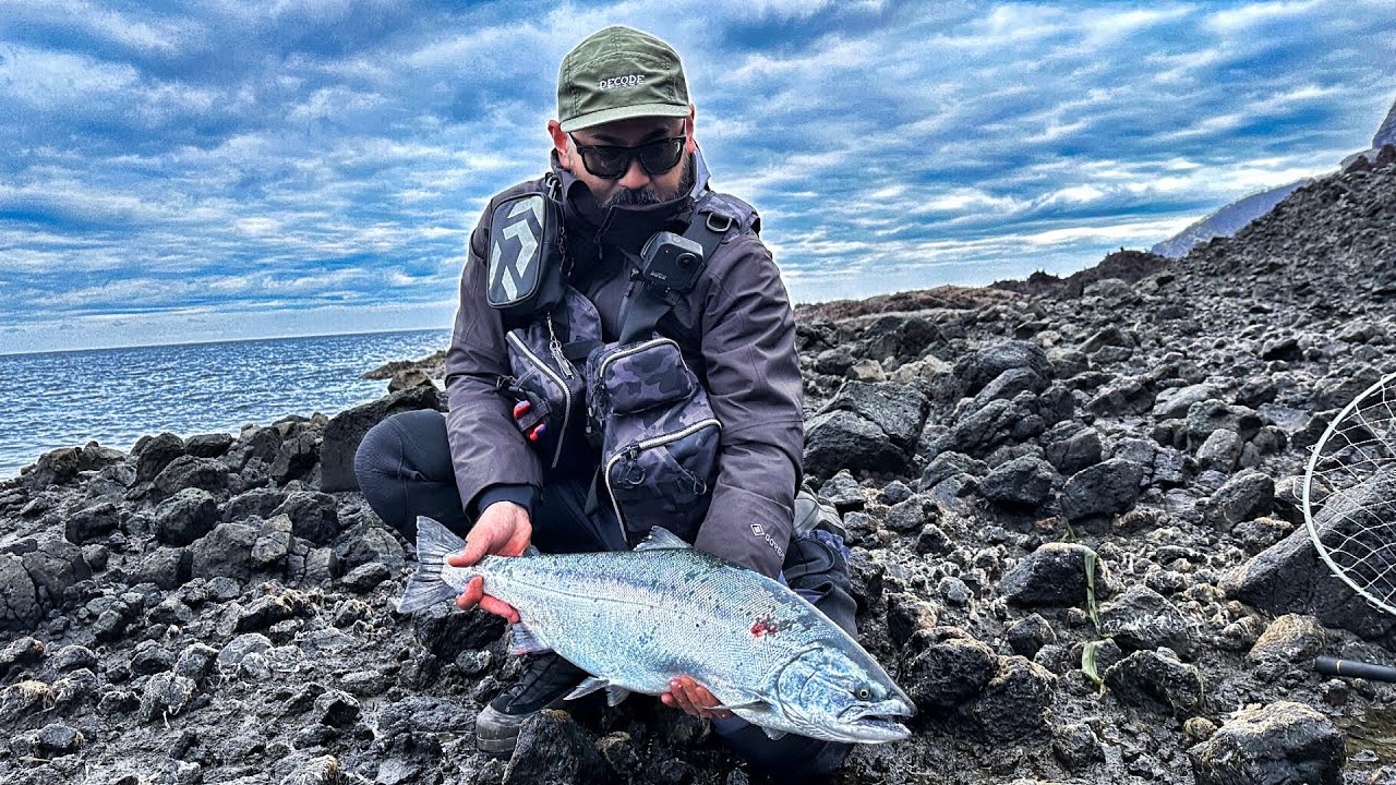 磯で釣る良型海サクラ～4kgオーバーもHIT