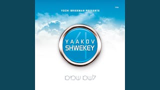 Vignette de la vidéo "Yaakov Shwekey - ברשות Birshus"