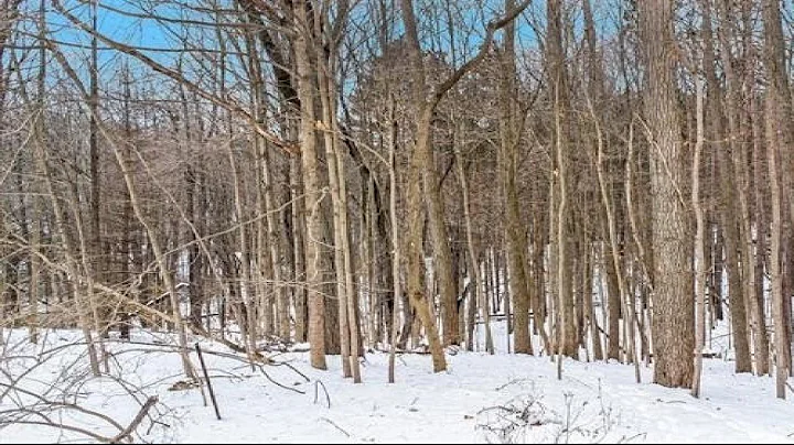 12 ACRES VACANT LAND BLOOD Road, Metamora, MI Presented by George Brennan.