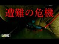 【遭難の危機】滝と滝の間に閉じ込められ、絶体絶命のピンチに陥る…【渓流釣り】