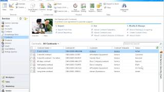 Microsoft Dynamics CRM 2011 Contracts