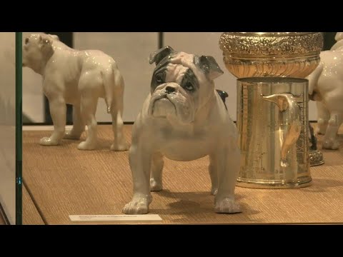 Video: Hvordan Besøke Museum Of The Dog I New York City